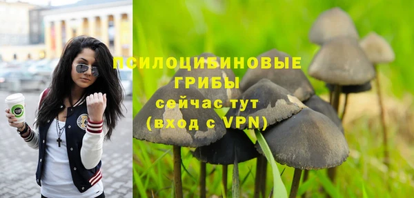 трава Алексин