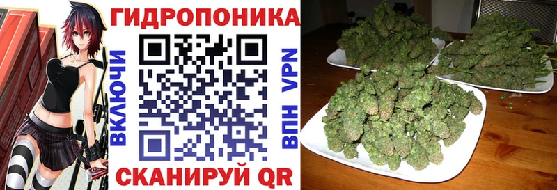 Конопля VHQ  где можно купить   Ковдор 